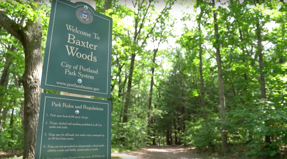 Mayor Baxter Woods | Portland, Maine Hiking | Best Outdoor Activities in Portland, Maine